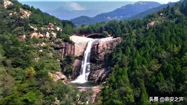 缤纷水果茶无敌版